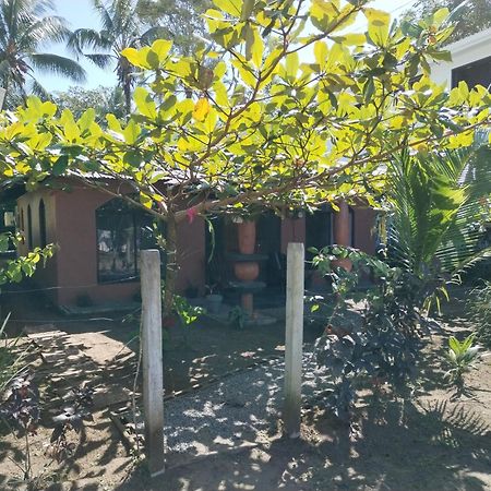 Micheck Beach House Tortuguero Exterior photo