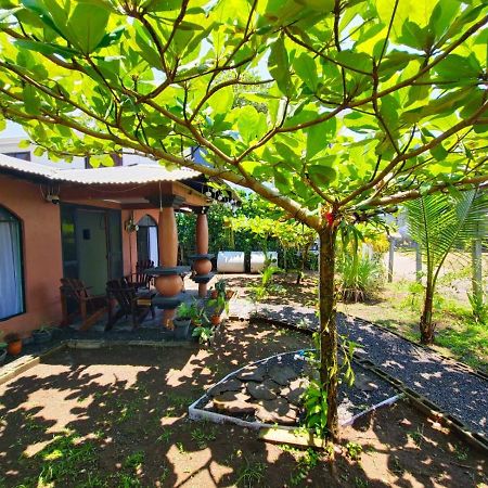 Micheck Beach House Tortuguero Exterior photo