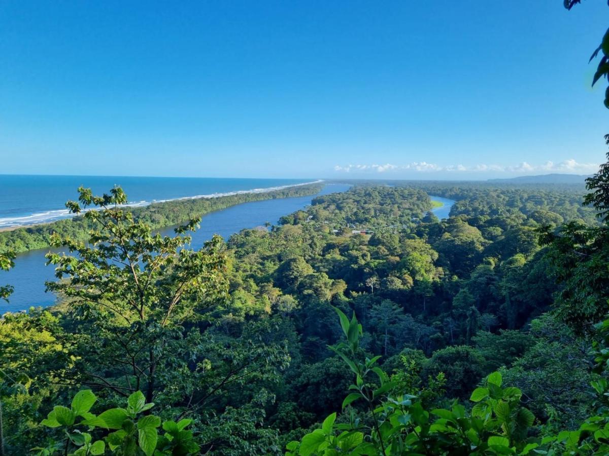Micheck Beach House Tortuguero Exterior photo